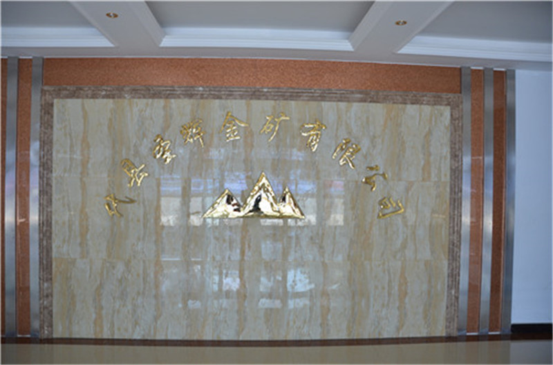 代县圣辉金矿有限公司